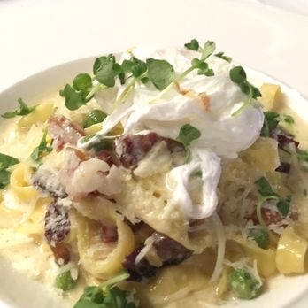 Massimo Restaurant - Fettucine alla Carbonara! - Italian Near Me - Providence, Rhode Island Massimo Restaurant - Fettucine alla Carbonara! - Italian Near Me - Providence, Rhode Island