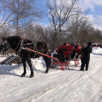 Heberle Stables - the second sleigh being pulled by Lucy - Horseback Riding Near Me - Rochester, New York Heberle Stables - the second sleigh being pulled by Lucy - Horseback Riding Near Me - Rochester, New York