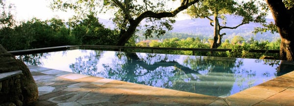 Sonoma Backyard by null