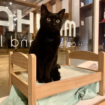 Mauhaus - Jelly Bean - Themed Cafes Near Me - Maplewood, Missouri