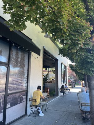 Lone Pine Coffee Roasters by null