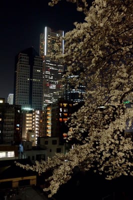 Kamon-yama Park by null