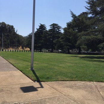 Shasta Dam - Nice grassy area with large shade trees. - Landmarks & Historical Buildings Near Me - Shasta Lake, California Shasta Dam - Nice grassy area with large shade trees. - Landmarks & Historical Buildings Near Me - Shasta Lake, California