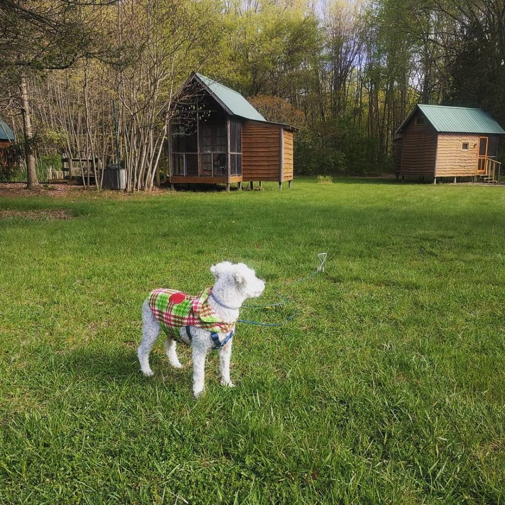 HARBOR COUNTRY CABINS 20 Photos 13416 Red Arrow Hwy, Sawyer, MI Yelp