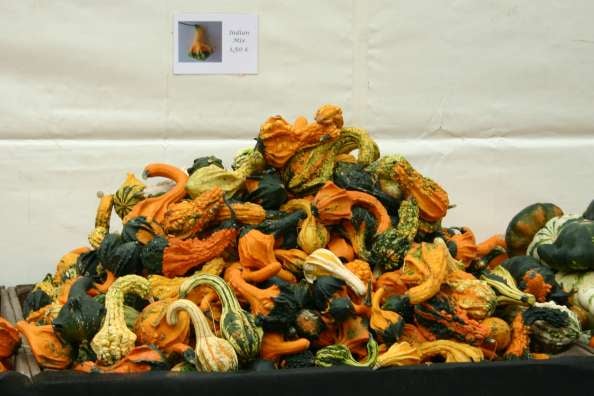 Das große Kürbisfest