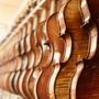 Photo of Atlantic Strings Violin Shop