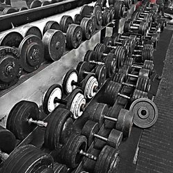 Catts Gym - Dumbbells, loads of them