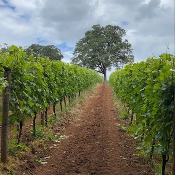 Durant Vineyards Tasting Room - Wineries Near Me - Dayton, Oregon
