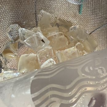 Starbucks - Theres the bug... - Coffee & Tea Near Me - Maricopa, Arizona Starbucks - Theres the bug... - Coffee & Tea Near Me - Maricopa, Arizona