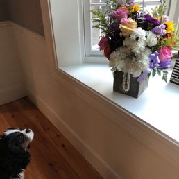 Doggie looking at a floral bouquet shaped like a dog.