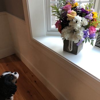 A Belvidere Florist and Gift Shop - Doggie looking at a floral bouquet shaped like a dog. - Florists Near Me - Lowell, Massachusetts