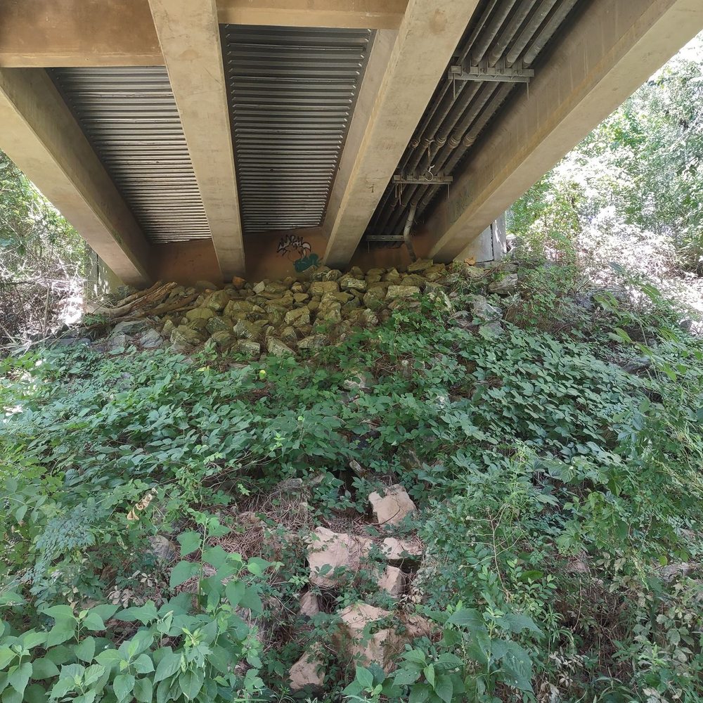 Amerson River Park - Parks Near Me - Macon, Georgia