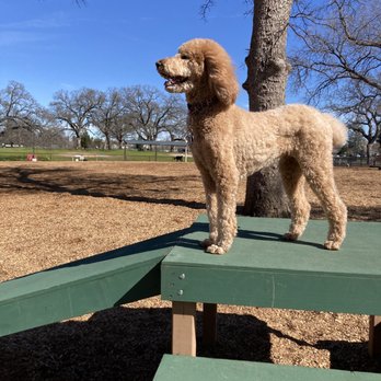 Rruff Healing Heroes - Dog:Park Agility - Dog Parks Near Me - Rocklin, California Rruff Healing Heroes - Dog:Park Agility - Dog Parks Near Me - Rocklin, California