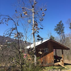 Appalachian Underground - In case you trash your shoes, there's a convenient and artistic place to leave them.