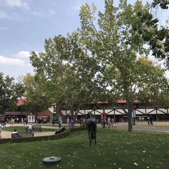 Spruce Meadows - Trees - Stadiums & Arenas Near Me - Calgary, Alberta Spruce Meadows - Trees - Stadiums & Arenas Near Me - Calgary, Alberta