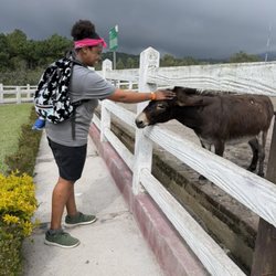 Tanisha's Loving Pet Care Services - Loving on the donkey