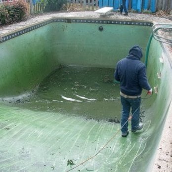 Blu Dolphin - Swimming Pool Repairs - Pool Cleaners Near Me - Novato, California