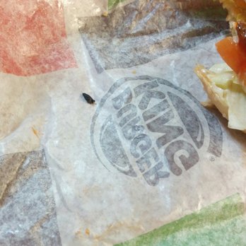Burger King - Rat poop - Fast Food Near Me - Waterloo, Ontario Burger King - Rat poop - Fast Food Near Me - Waterloo, Ontario
