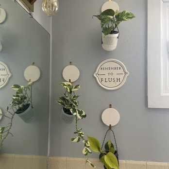 Mischler's Florist - Pothos - Nurseries & Gardening Near Me - Williamsville, New York Mischler's Florist - Pothos - Nurseries & Gardening Near Me - Williamsville, New York