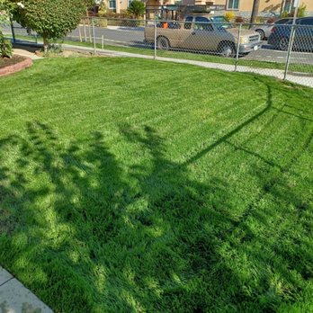 Agustín Mercado Landscaping - Semilla y sprinklers - Lawn Services Near Me