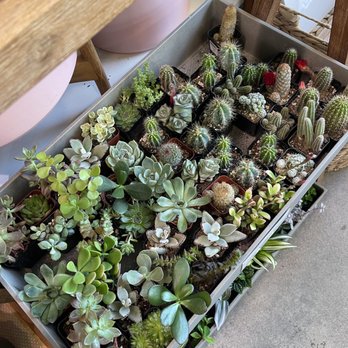ECOVIBE - Home Decor Near Me - Portland, Oregon