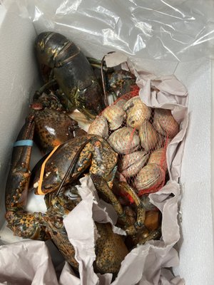 Shyer's Lobster Pounds