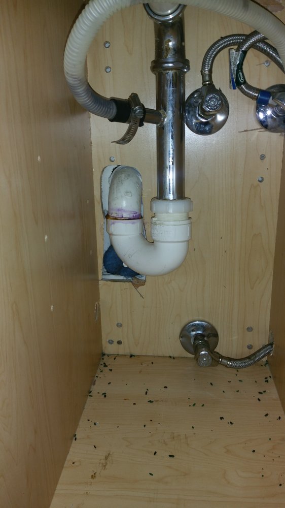 CONSTANCE LOFT Updated September 2024 1041 Constance St, New