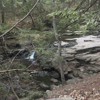Vaughan Woods - Hiking trail - Parks Near Me - Hallowell, Maine Vaughan Woods - Hiking trail - Parks Near Me - Hallowell, Maine
