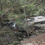 Photo of Vaughan Woods