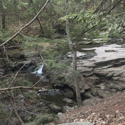 Vaughan Woods - Hiking trail