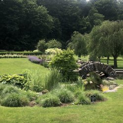 Central Park - Bridge and greenery