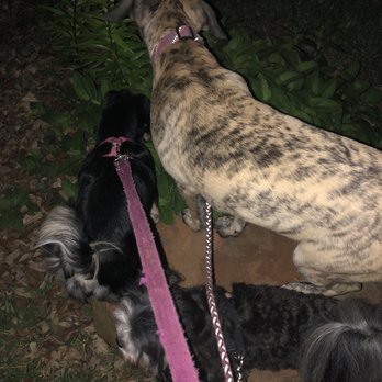 Valley View Park - Storms or not these gals always stop to smell the flowers! - Parks Near Me - Dallas, Texas