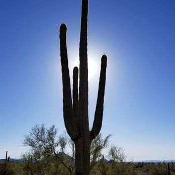 Lost Dog Wash Trail - Hiking Near Me - Scottsdale, Arizona Lost Dog Wash Trail - Hiking Near Me - Scottsdale, Arizona