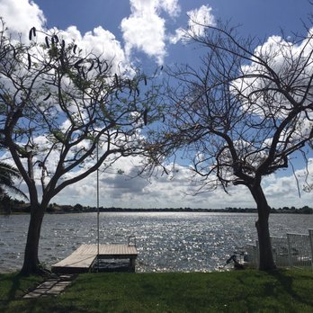 American Arbor Services - Before - Tree Services Near Me - Pembroke Pines, Florida American Arbor Services - Before - Tree Services Near Me - Pembroke Pines, Florida