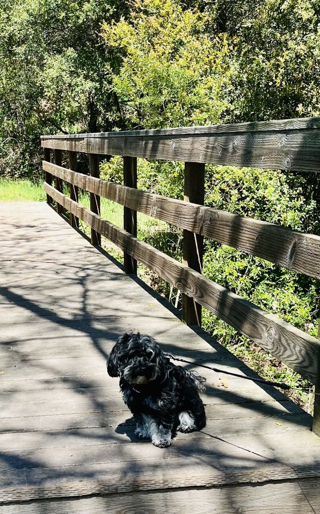 Toro Canyon Park Logo