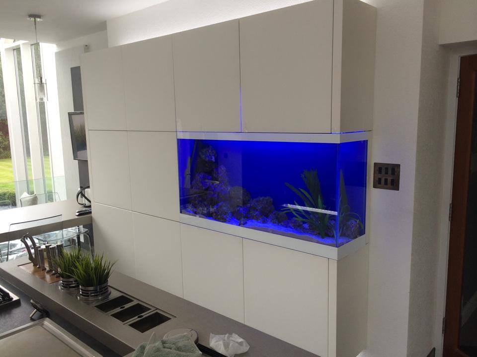 DC AQUARIUMS Aquarium Services Seabegs Road, Bonnybridge, Falkirk