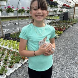 Little Wagon Produce