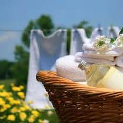 Fountain Dry Cleaners - Wash and Fold Service