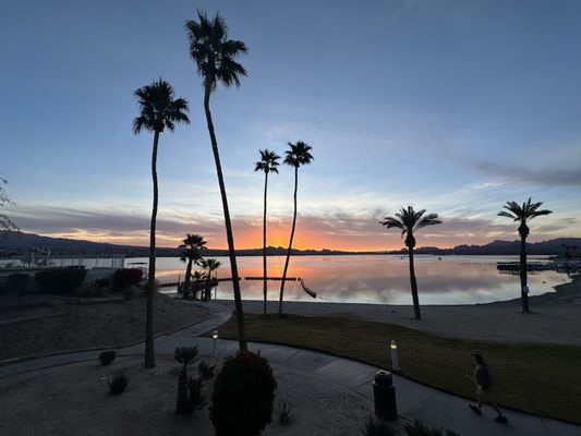 Turtle Grille by null