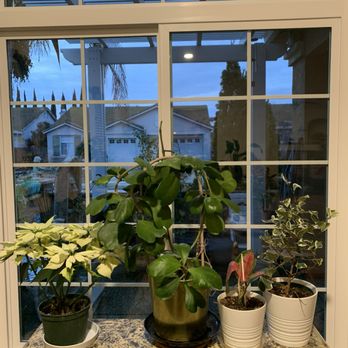 River City Windows - New living room window (inside view) - Windows Installation Near Me - Sacramento, California River City Windows - New living room window (inside view) - Windows Installation Near Me - Sacramento, California