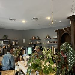 Doshi House - Baristas