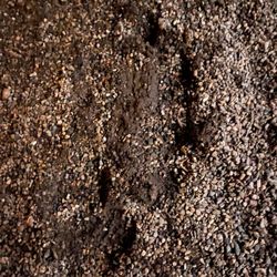 Sangre De Cristo Paving & Excavating - Muddy mess