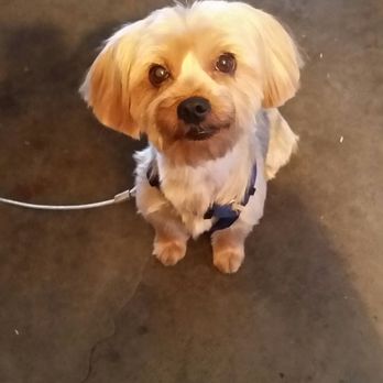 PetSmart - Homeboy lookin flossy!!! - Pet Stores Near Me - Stockton, California PetSmart - Homeboy lookin flossy!!! - Pet Stores Near Me - Stockton, California