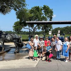 Southurn Rose Buggy Tours