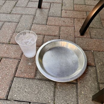 Ice House BBQ - Water dish for the pups. - American Near Me - Mackinac Island, Michigan Ice House BBQ - Water dish for the pups. - American Near Me - Mackinac Island, Michigan