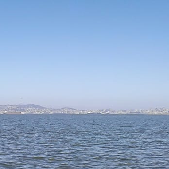 Crown Memorial State Beach - Just look at that, just look! - Parks Near Me - Alameda, California Crown Memorial State Beach - Just look at that, just look! - Parks Near Me - Alameda, California