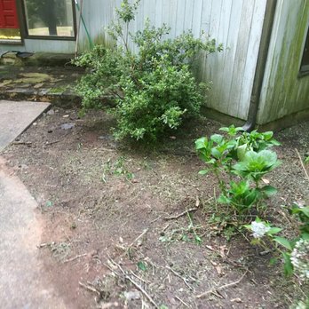 Willcutz - After cleanup - Lawn Services Near Me