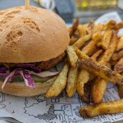 North Brewing Company - Pulled pork sandwich and masala fries
