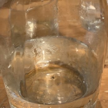 Local Table - Fruit fly/gnat in water - New American Near Me - Cypress, Texas Local Table - Fruit fly/gnat in water - New American Near Me - Cypress, Texas