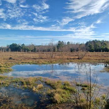 Okeeheepkee Prairie Park - Parks Near Me - Tallahassee, Florida